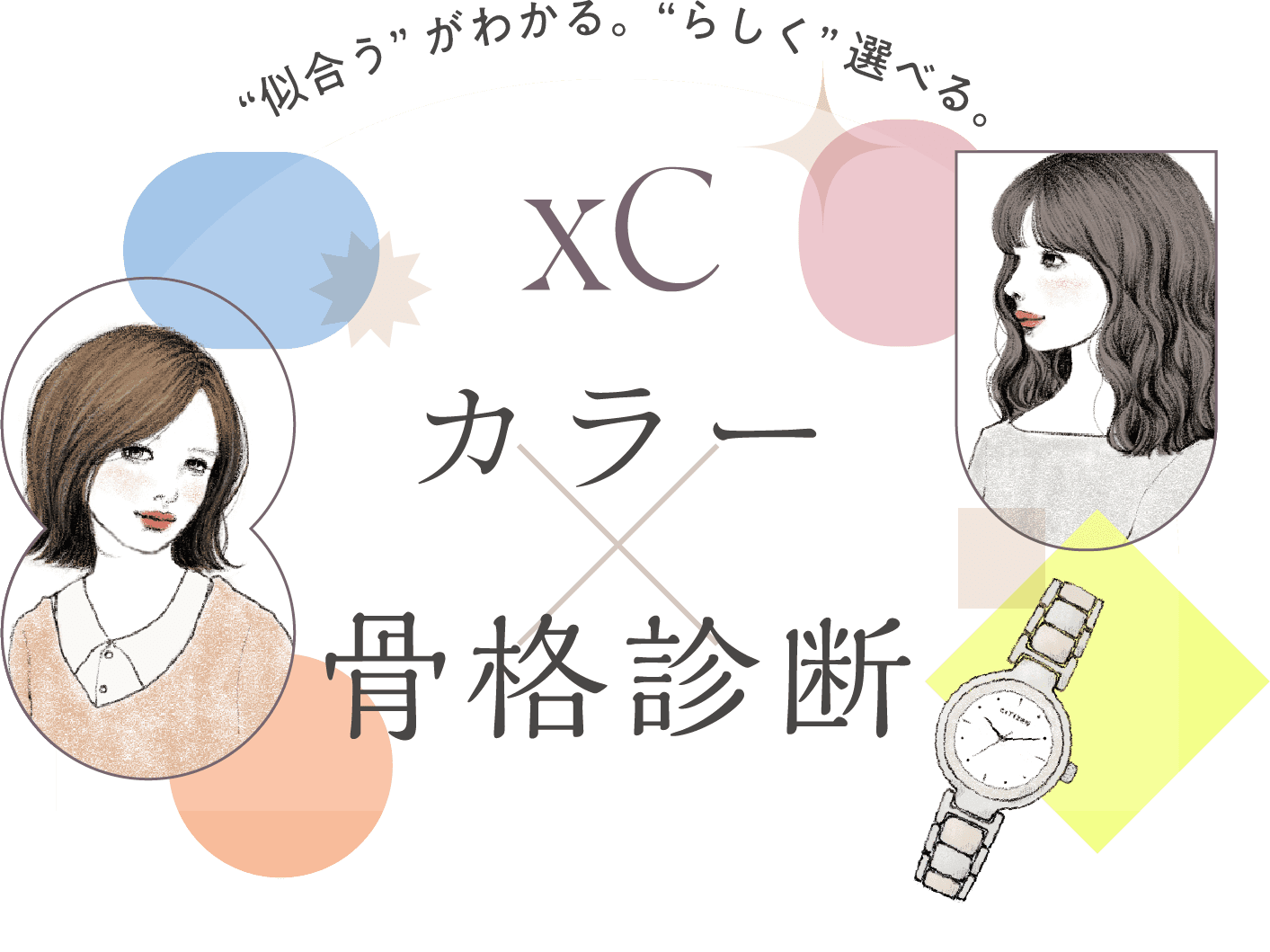 XC カラー 骨格診断