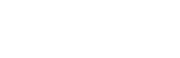 Eco Drive 50th