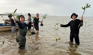 苗を植えている写真