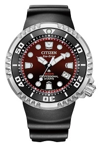  BN1024-01Z 正面全体画像。