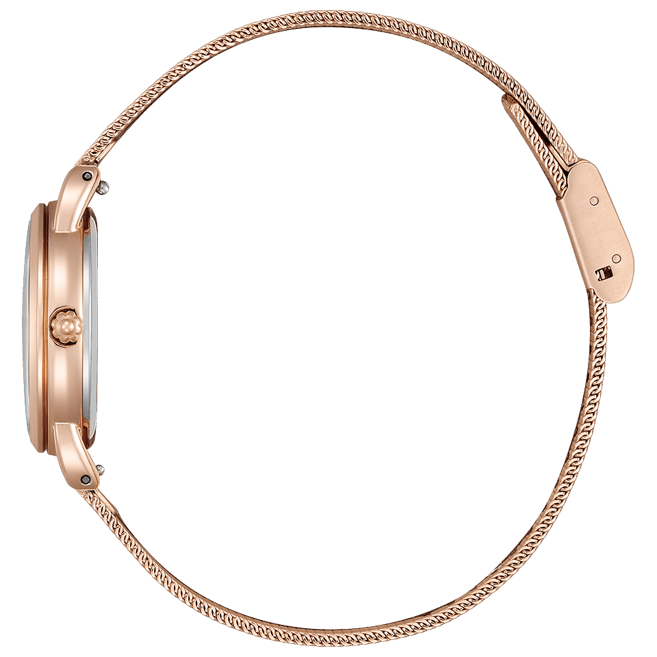 商品詳細KP6-065-21 | wicca（ウィッカ）