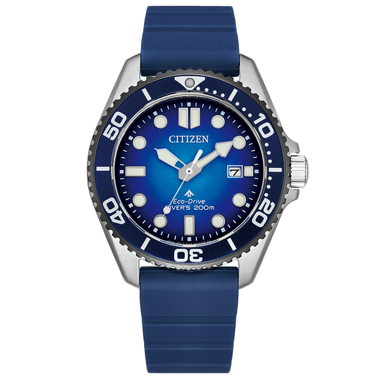 BN0267-04L