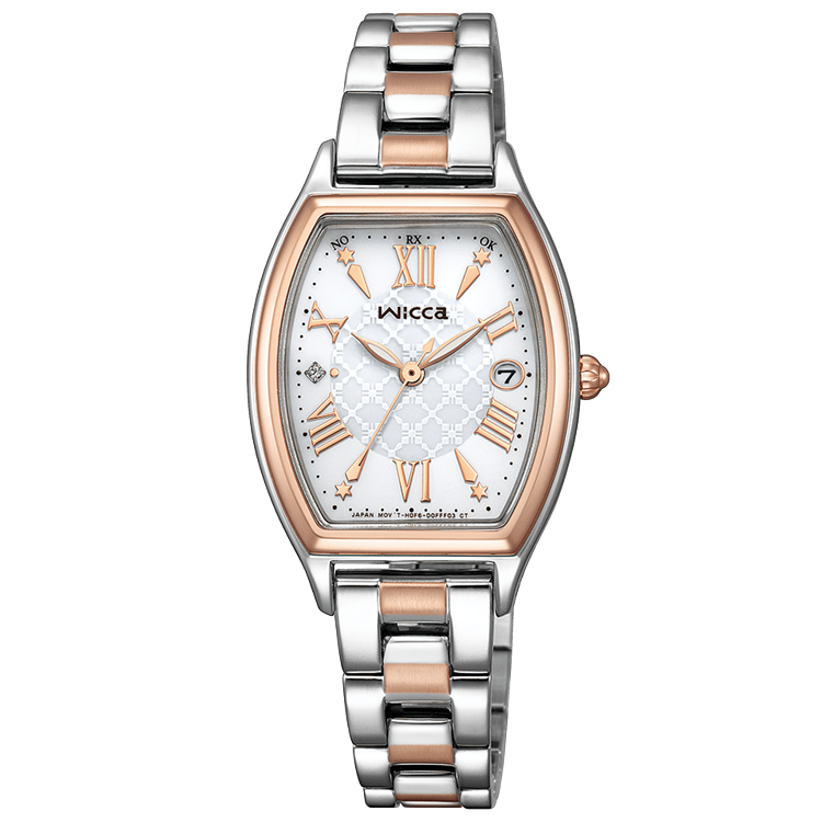 その他 What Is Wicca [DVD] What Is Wicca [DVD]