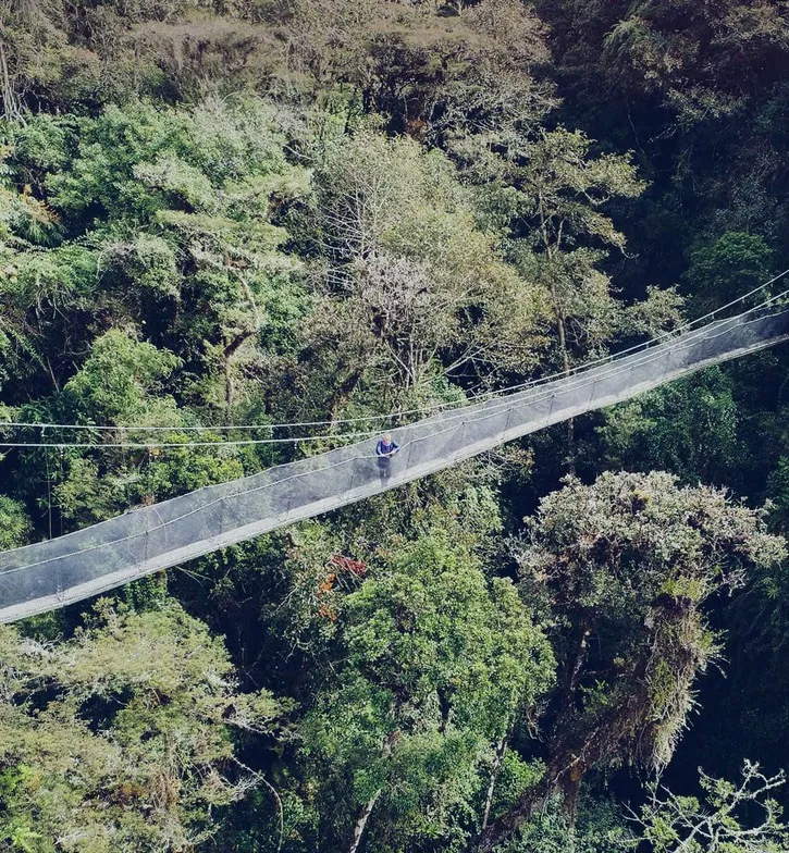 “広大なアマゾンは、 この標高の高い山々から生まれます。”