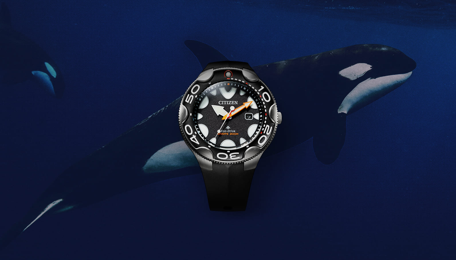NEW PRODUCT 2023 Eco-Drive Diver 200m