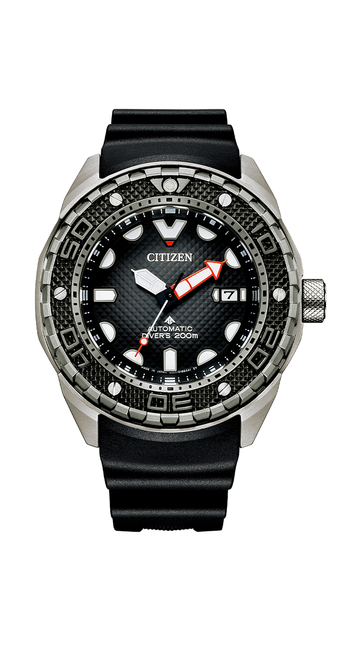 citizen go deeper promaster