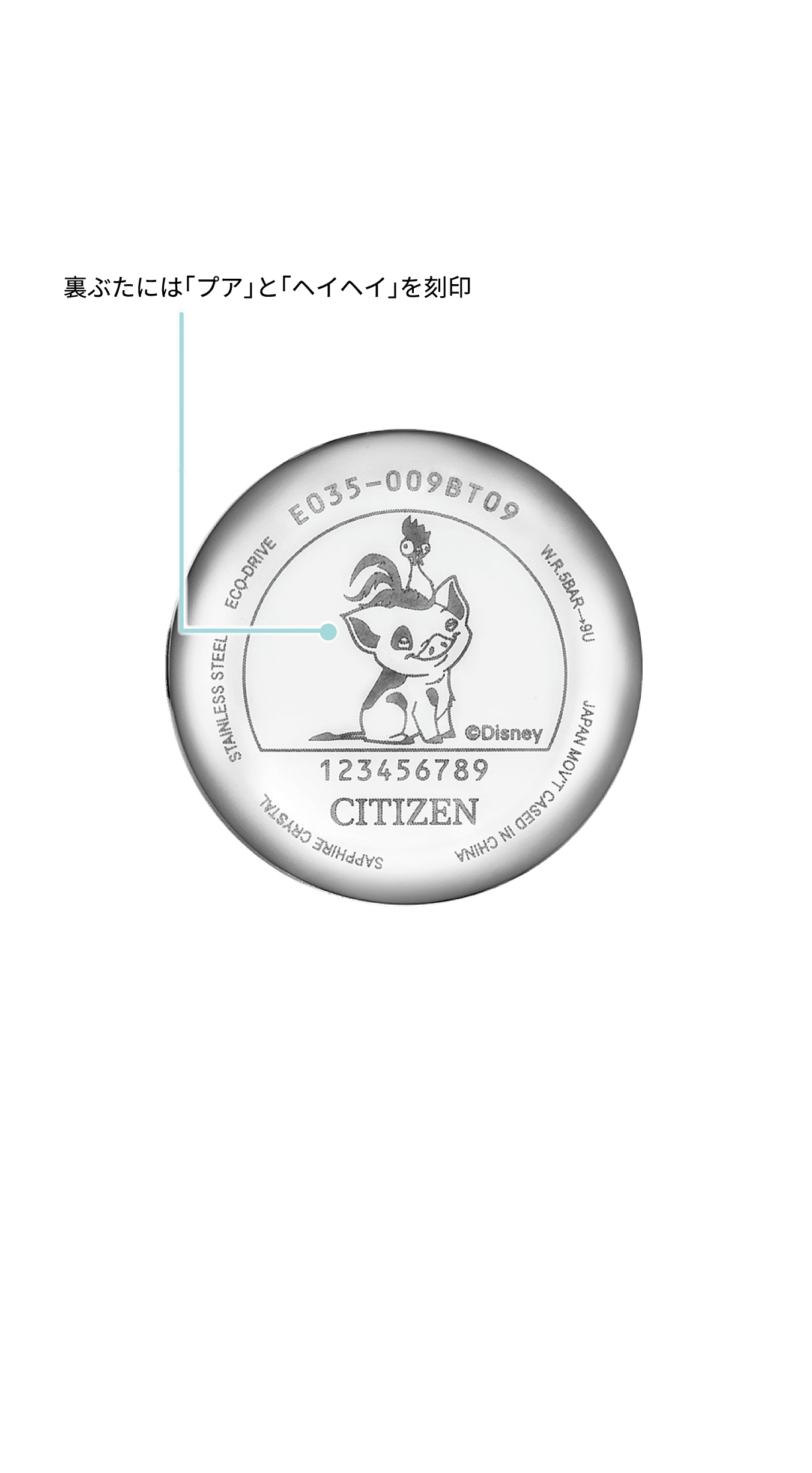 裏ぶた