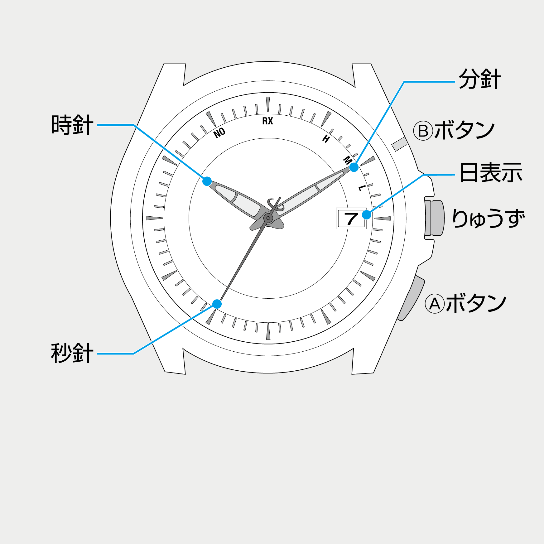 出演者 グレートバリアリーフ 収入 シチズン 電波 腕時計 時刻 合わせ Hisamichi Jp