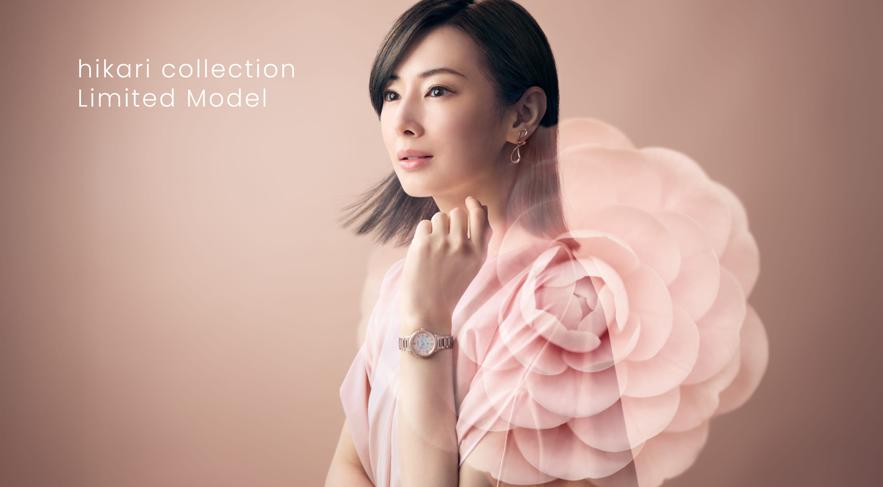 hikari collection Limited Model